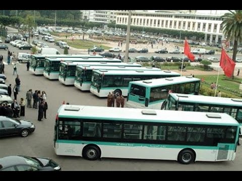شاهد 50 حافلة عرضة للصدأ في ميناء الدار البيضاء