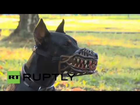 قناع للكلاب يؤدِّي دور النباح