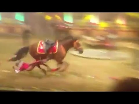 حصان هائج يسحل لاعبة سيرك حتى الموت