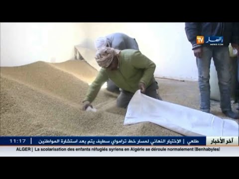 شاهد 30 طن من الأعلاف للموالين في تيارت