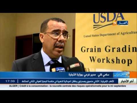 شاهد أرقام تفوق الحاجة من واردات الحبوب