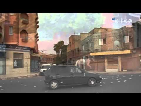 شاهد  مجموعة من كلاب ضالة تتجول في شوارع وحواري مراكش