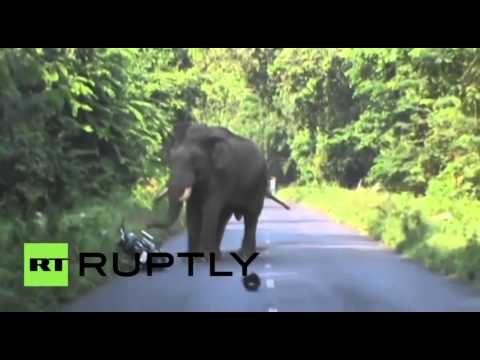 سائق دراجة نارية يترك دراجته ويهرب