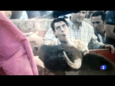 مصارع ثيران يتلقى طعنة قاتلة في العنق