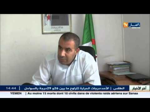 الوكالة المحلية توفر 5600 فرصة عمل في سكيكدة