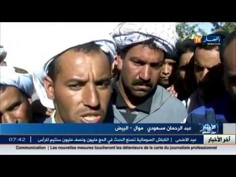 عصابات سرقة المواشي هاجس الموالين في ولاية البيض
