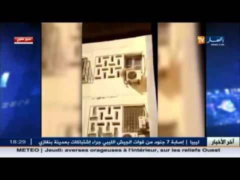 شاهد ما حدث لهذا الكبش المسكين