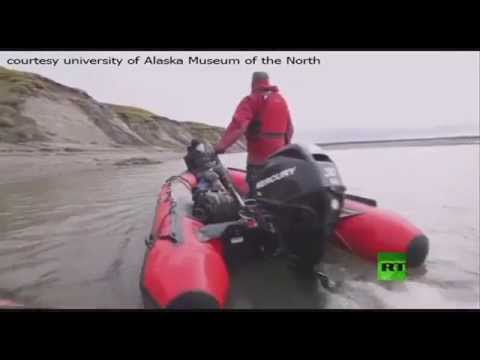 العثور على رفات ديناصور في ألاسكا