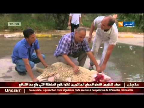 ديوان الخدمات الجامعية تحيي أول أيام العيد مع الطلبة الأجانب المقيمين