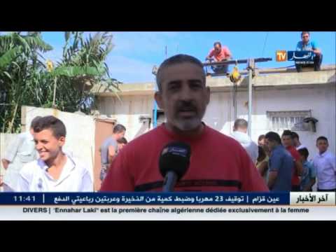 شاهد جزائريون يضحون بالعجول بدل الخراف والماعز في العاصمة