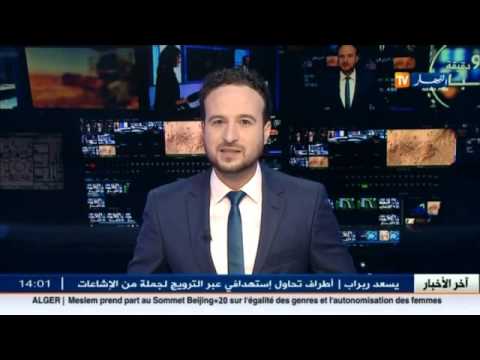 شاهد توقيف تسعة مهربين من جنسيات مختلفة