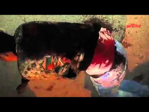 شاهد حادث مقتل الشاب نور الدين تثير غضب المواطنين