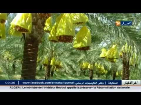 شاهد حرمان تام لسكان حي عين خديجة بطولقة