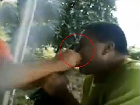 تمساح صغير يعاقب رجلًا مكسيكيًّا حاول تقبيله من فمه