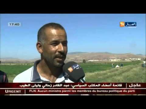 الفلاحون يباشرون التحضيرات لبداية موسم الحرث في عين الدفلى