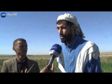 سعر الجزر يقفز إلى 70 دينار بعد تلف عشرات الهكتارات