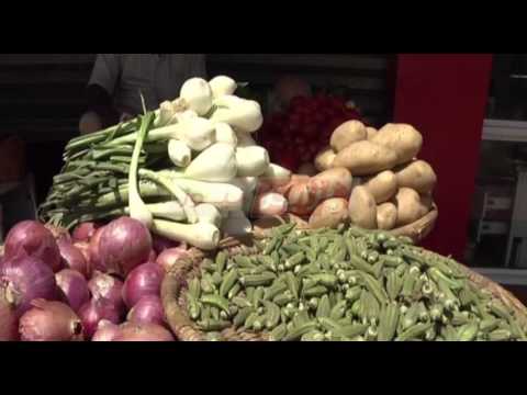 شاهد الخرطوم تطرح 12 مشروعا للاستثمار الجزائري