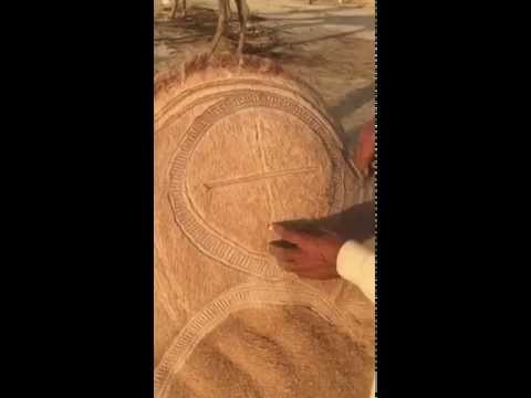 شاهد حلاق المواشى يرسم لوحات رائعة