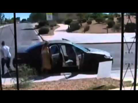 بالفيديو أمريكيتان تسرقان أغذية الكلاب الضالة