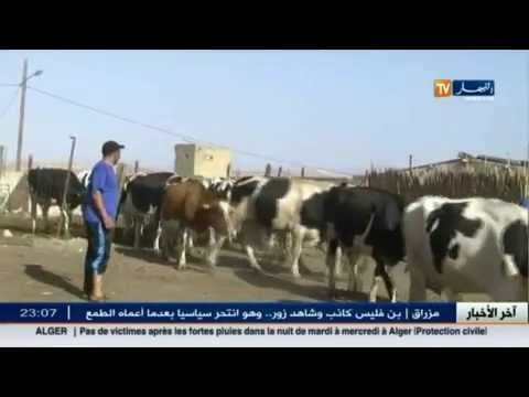 شاهد شاب بن عتو نموذج نجاح بارز