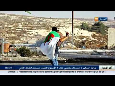 شاهد الانتفاضة الثالثة تتخذ علم الجزائر رمزا لها