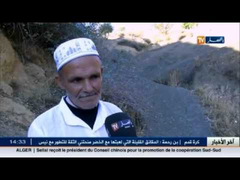 شاهد أهم وآخر قضايا المجتمع الجزائري