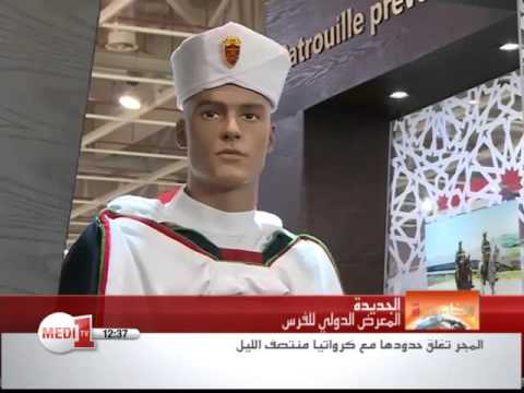 أدوار الخيول العسكرية في تاريخ المغرب