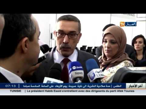 الصناعات المنجمية تعاني تأخرًا رغم الإمكانيات الكبيرة