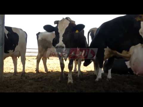 المهنيون يطالبون بتسقيف أسعار المنتوجات الفلاحية