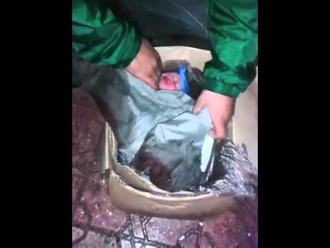 شاهد العثور على رضيع في القمامة قرب محطة آسفي
