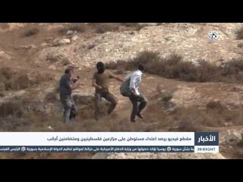شاهد اعتداء مستوطن على مزارعين فلسطينيين ومتضامنين أجانب