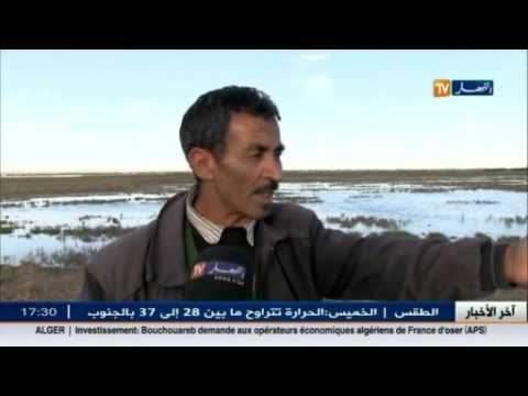 شاهد تلف المحاصيل الزراعية بسبب تلوث المياه