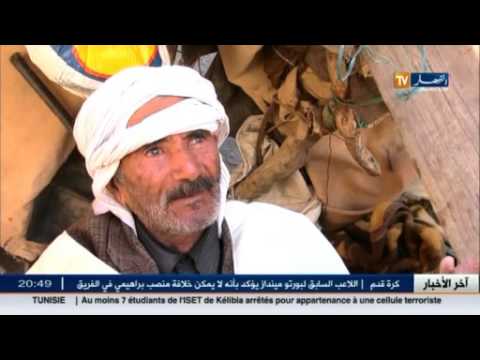 شاهد عمي موسى مثال يحتذى به في بسكرة