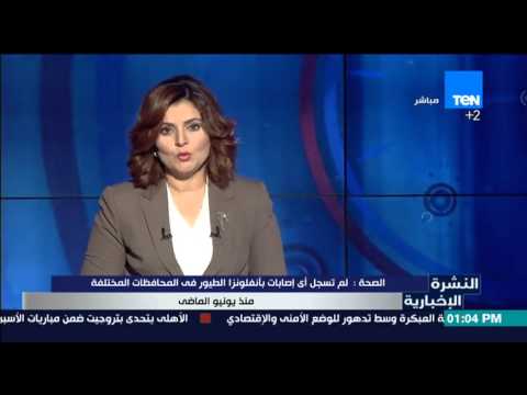 شاهد الصحة لم تسجل أي إصابات بإنفلونزا الطيور