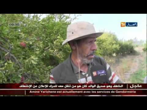 شاهد مناطق جبلية تتحول إلى لأراضي خصبة في تلمسان