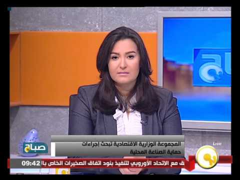 شاهد المجموعة الوزارية الاقتصادية تبحث إجراءات حماية الصناعة المحلية