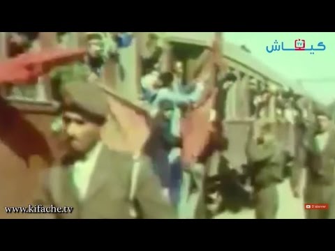 تعرف على حكاية المسيرة الخضراء