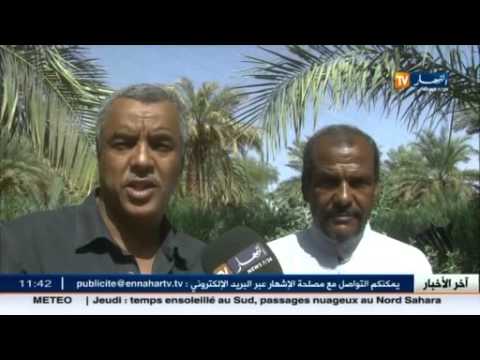 فيديو أبرز الأخبار المحلية في الجزائر