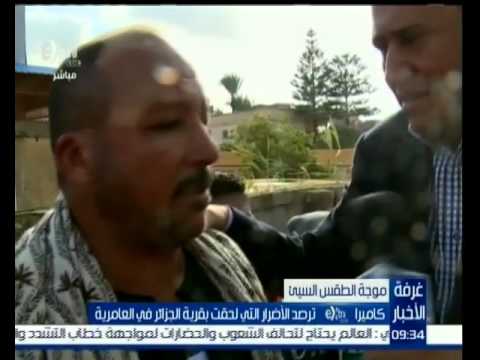 شاهد لقاءات مع أهالي قرية الجزائر في العامرية