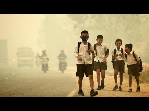 شاهد الأرصاد تؤكد ارتفاع ثاني أكسيد الكربون لمستويات قياسية