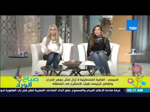 شاهد حفاوة استقبال السيسي تبدد شائعات فتور العلاقات المصرية السعودية