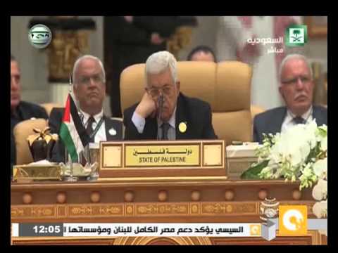 شاهد السيسي يؤكد أنّ استقلال الدولة الفلسطينية سيسهم في الاستقرار داخل المنطقة