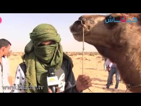 شاهد بولها يستخدم دواء حتى في المغرب