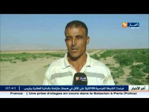 تعرف على أهم أخبار الولايات الجزائرية السبت