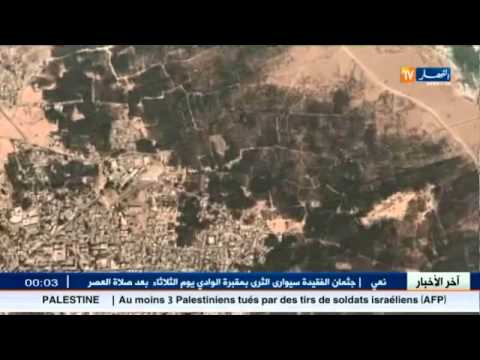 الحكم بالإعدام غيابيًا على أربعة من أعضاءأبناء الصحراء