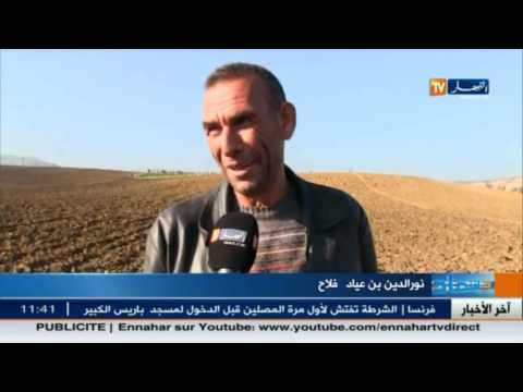 الفلاحون الجزائريون يعيشون كابوس الجفاف منذ شهرين