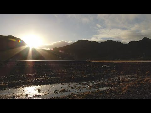 حلول بديلة للتخلص من ثاني أكسيد الكربون