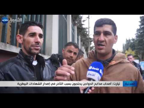 شاهد أصحاب مذابح الدواجن يحتجون في ولاية تيارت