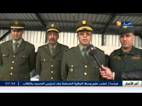 شاهد معسكر تفكيك شبكة لترويج المخدرات