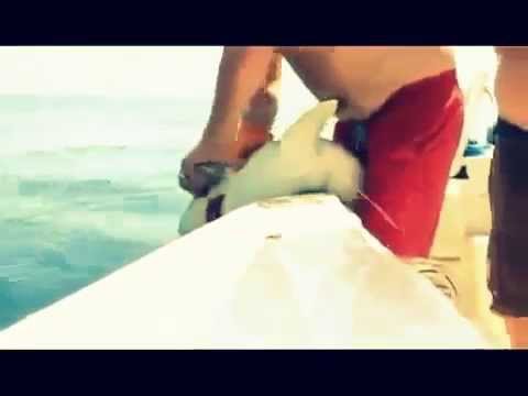 سمكة “تعض” إصبع صائدها وتتمكن من الفرار